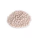 Насіння квасолі з гарантією викупу врожаю