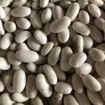 Куплю квасолю великий,  мелкий опт.