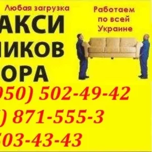 грузовые перевозки калитки Николаев. перевозка ворота в Николаеве
