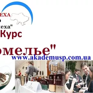 Курсы,  учеба,  обучение Сомелье в Николаеве от  Академии Успеха .