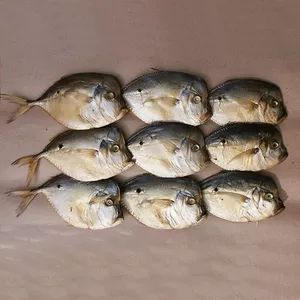 Рыба вяленая и холодного копчения,  креветка-свеже-мор.,  сулугуни ОПТ