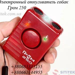 Электронный отпугиватель собак Гром 250 Украина