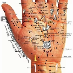 Диагностика всего организма по аккупунктуре на руке