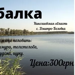 Рыбалка в Николаевской области 