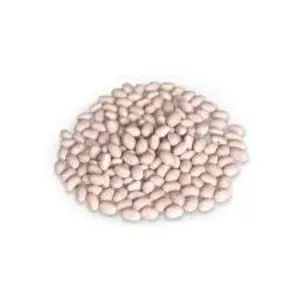 Насіння квасолі з гарантією викупу врожаю