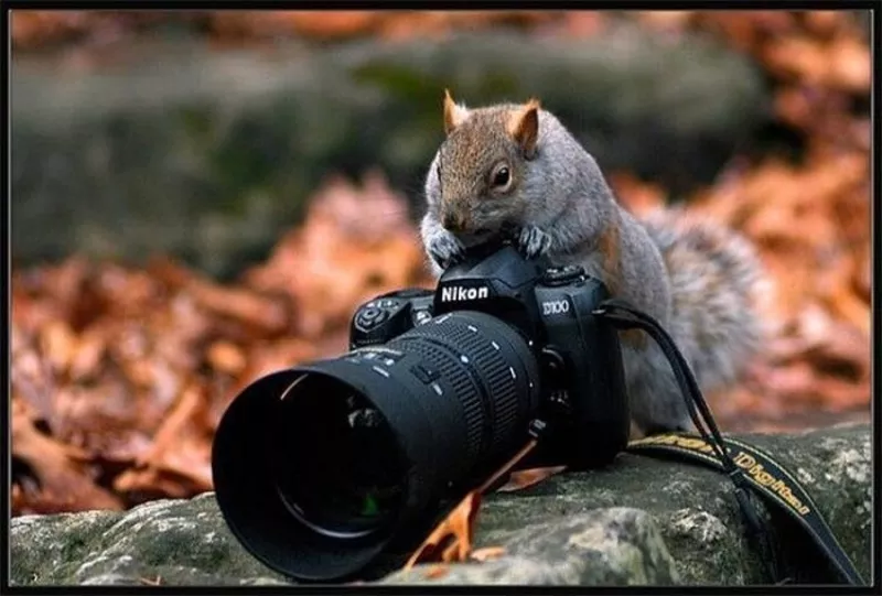 Фотограф. Курсы в Николаеве.