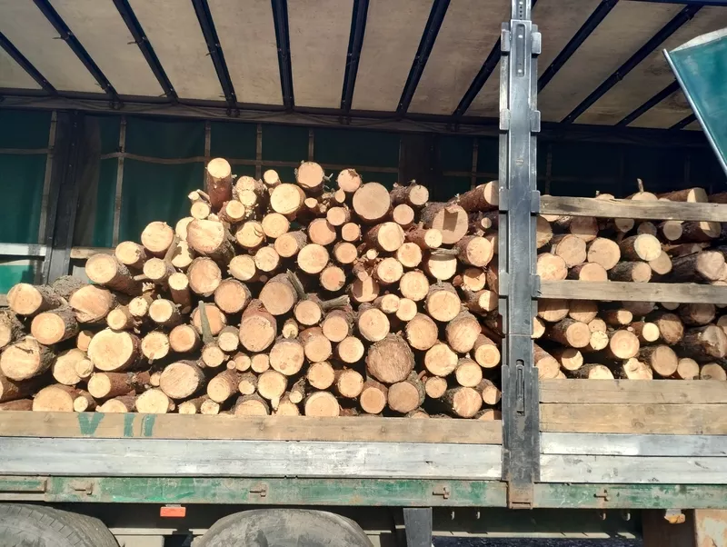 Продам дрова оптом и в розницу есть доставка 