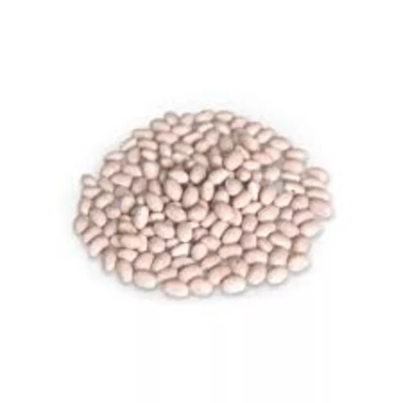 Насіння квасолі з гарантією викупу врожаю